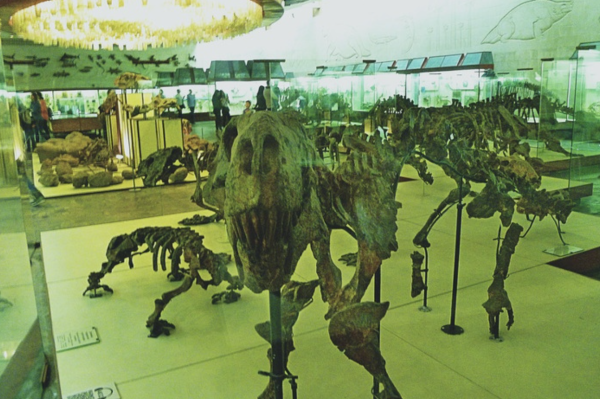 И возможно сделать кусь  