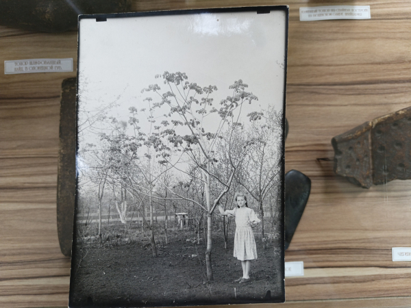 1d34463b6523872557ca22a9ff519733