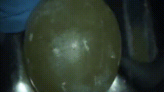 22051f5fffdfbc4095953274cf45109b