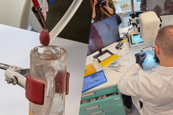 Уникальный антидепрессант и препараты от некроза сердца. Как создают новые лекарства в&nbsp;России