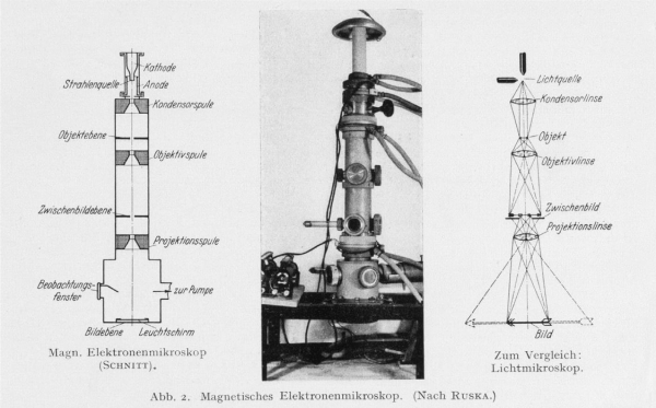 История электронного микроскопа 17 Электронный микроскоп, оставленный Руской и усовершенствованный новыми студентами в лаборатории. На двух эскизах показаны компоненты электронного микроскопа (слева) и сходства со световым микроскопом (справа). (https://doi.org/10.1016/B978-0-12-800146-2.00001-1)