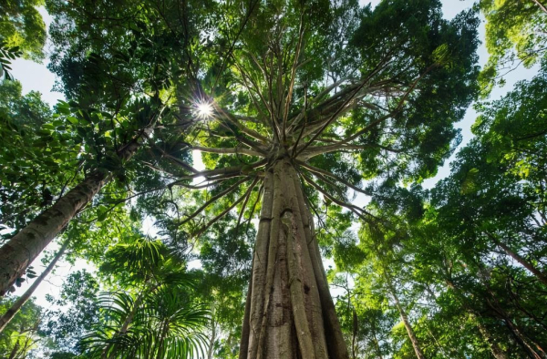 Обнаружен неожиданный эффект климатических изменений&hellip;