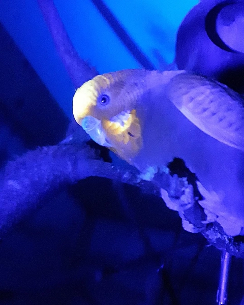 26d748236bdadf14f0493a02a36d4319