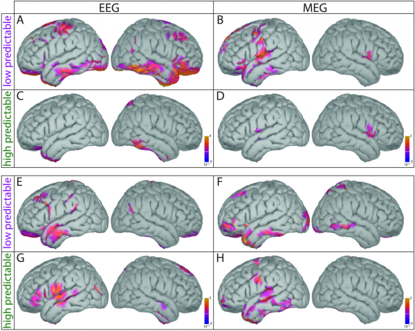 Источники в коре: после начала слова активнее непредсказуемые, перед началом — сильнее подготовка к предсказуемым.