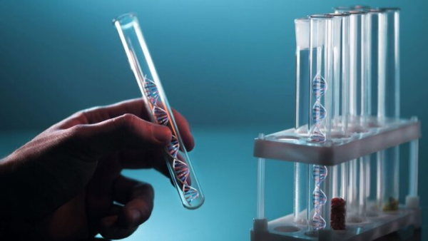 Первая ДНК-нейросеть в пробирке распознает цифры и работает на энергии тепла