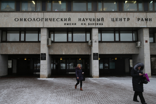 Пчелы против рака: действительно ли ядом можно лечить опухоли и фантомные боли?