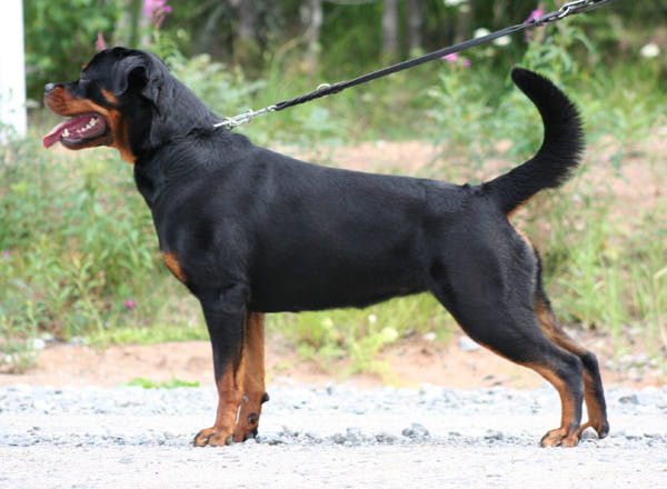 2a89bff3331d725de6a58e201699ddf0