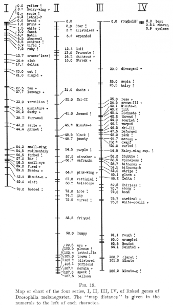 2dd743edfcf2a91f045d9675566a3457