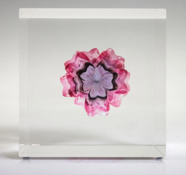 301dd4d6e38ccb4802573841e572cd4e