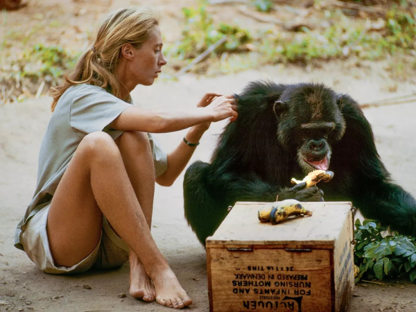 Шатдаун правительства США, а также Грокипедия от Илона Маска 3 3084d422fe5e9d6feda1e51178684a0e