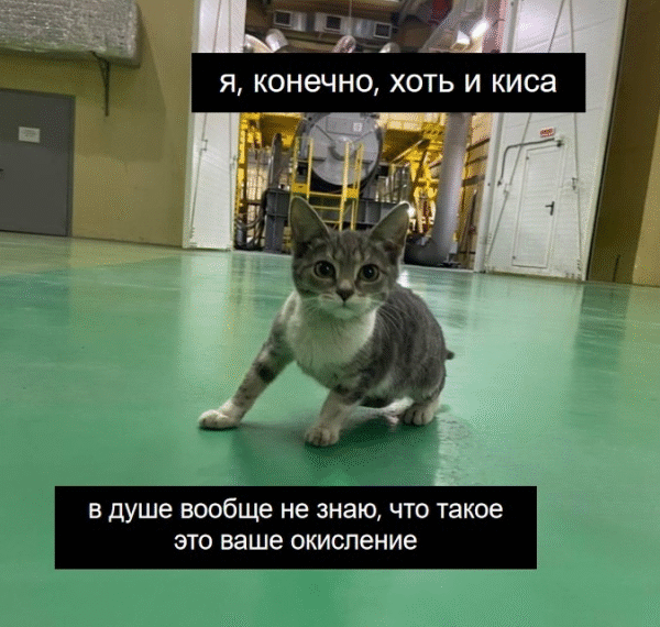 О горьком опыте масштабирования производств,&hellip;