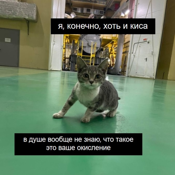 О горьком опыте масштабирования производств, о важности ведер и о причинах седины 3 36142aed22261faaffc921c926f51c34.png