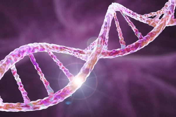 Расшифровка генетики фибромиалгии проливает новый&hellip;