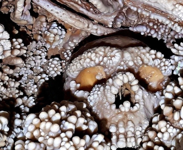 Загадка человека из Альтамуры 1 37add95640cfcc224acc3ff2c81118ae