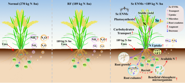 381fa6a4c155bed02f1294c5a77ce66d
