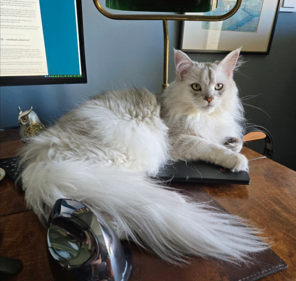 Что именно ИИ-чатботы делают «под капотом»