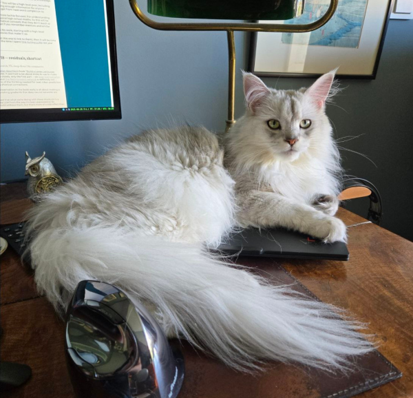 Что именно ИИ-чатботы делают «под капотом» 2 38374b4f96541044a3a9561189ca53ee.png