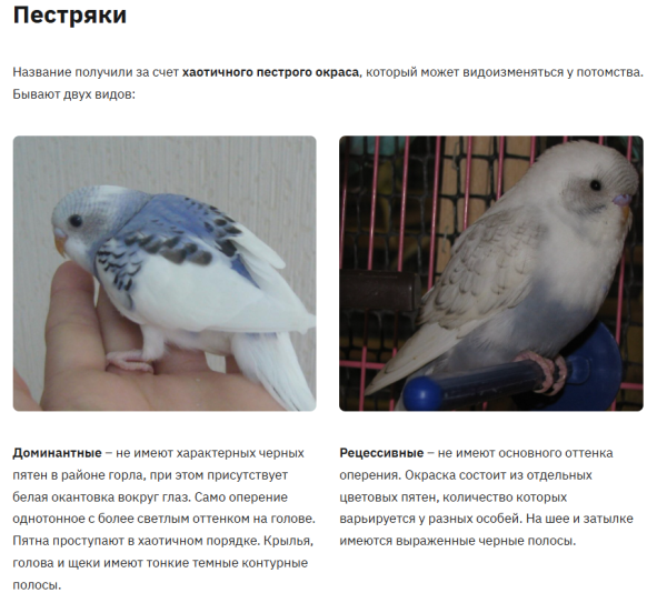 3a98173a396246b724aa7e079786ae8f