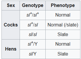 3c742c215d76d93f9266a194d3848743