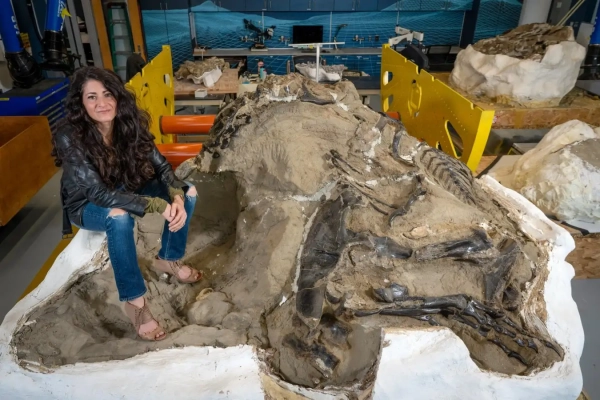 Nanotyrannus: скелет динозавра положил конец давним спорам о находках «крошечного тираннозавра» 3 3f79f50f18ecb7046b4155542f67bff7