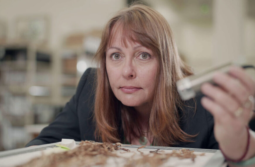 Собранные в узел пряди волос&hellip;