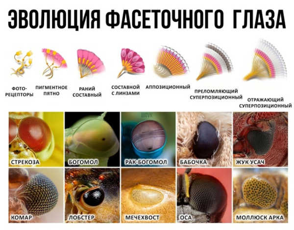 Давайте общего развития ради с&hellip;