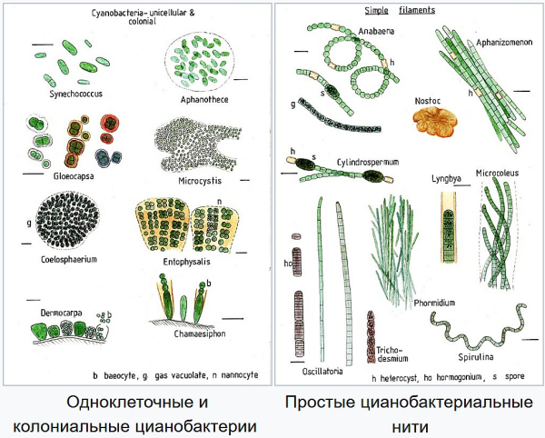 42cc54c478bff2d42b44642a06fbb1b7