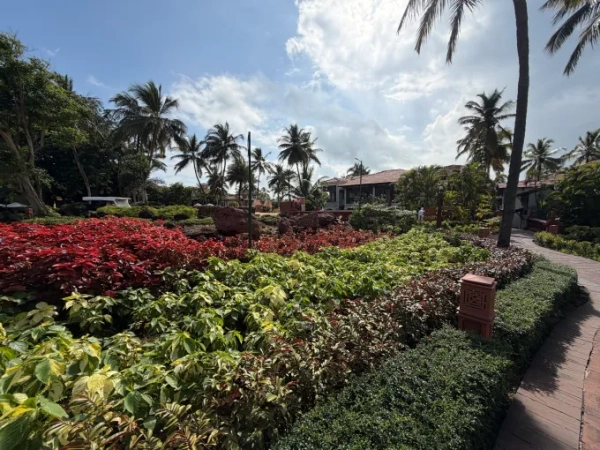 Обзор iPhone 17 Pro Max: оранжевый, вы рады, что аккумулятор больше 5 4336f80e08d4081c914f03acaeb40d97