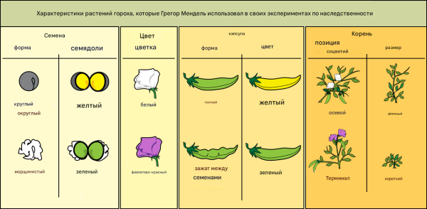 460fd24d035ba5e5e273fbcd723d37e1