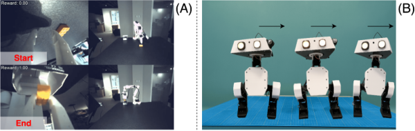Две типичные задачи RL: манипуляция и локомоция