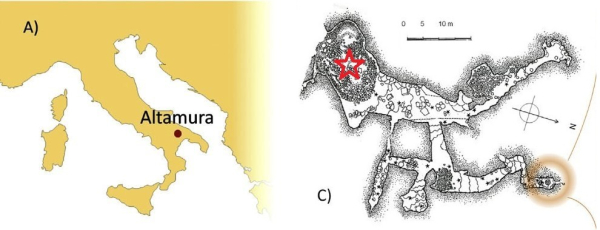 Загадка человека из Альтамуры