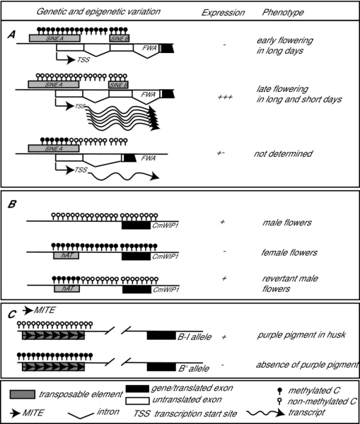 48cf597e5c851e5e64e980f779429783