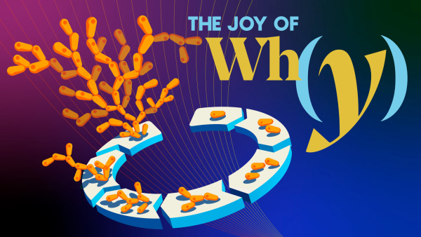 Как возникла многоклеточная жизнь? 4 49b376b7372251f5680ffe75c50fa86b.jpg