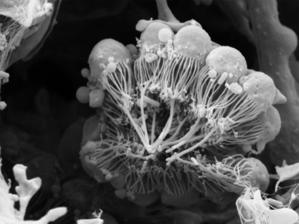 49cbca5ec1068903ac98abd6abe90051