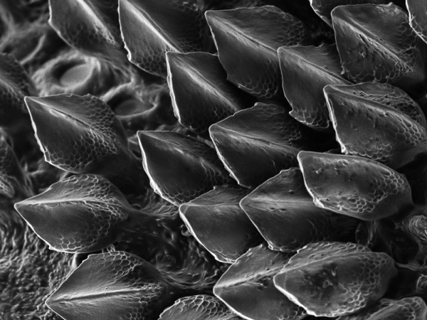 4b9d7445142b4d07e6b9602217aec636