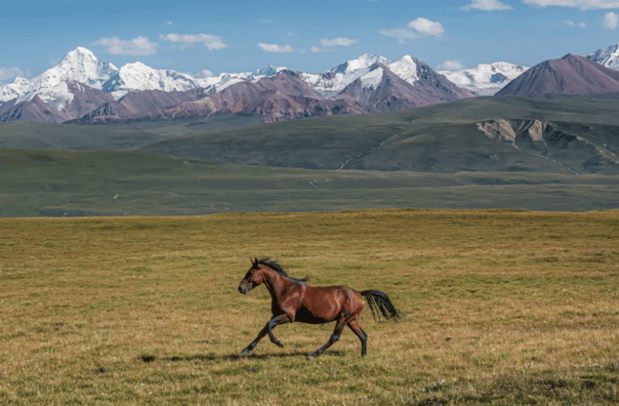 Ученые говорят: Степь
