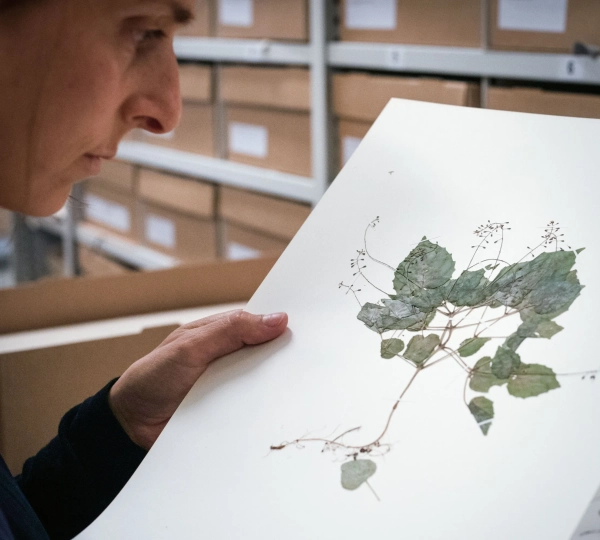 4dd31fbe11126928d38fec2d45d093aa