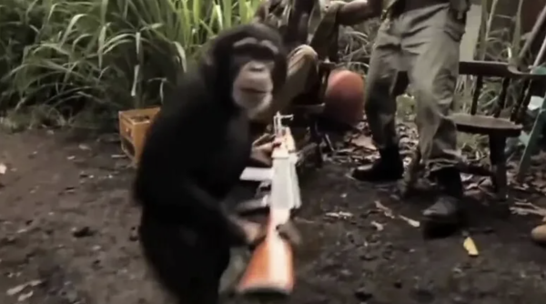 Когда дал 20 строк для запуска мультиагентной системы