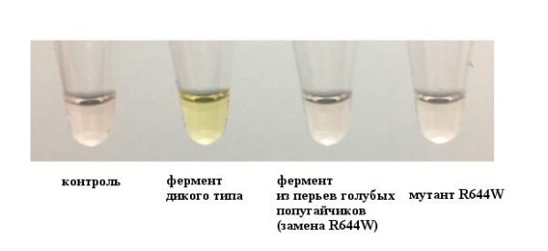 51038e2fc379e0abf1abd236ed87827a