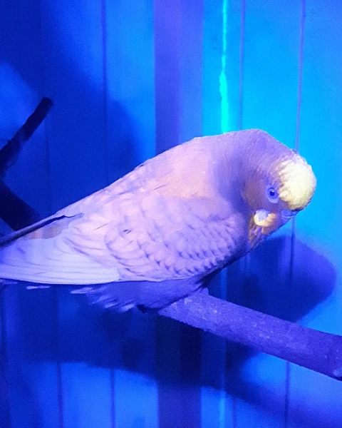 51551acdee2b5a5f266cc778941fbd79