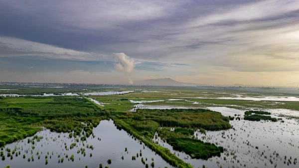 В марте 2022 года территория была объявлена охраняемой природной территорией, что стало важным шагом на пути к устранению последствий разрушительного воздействия...