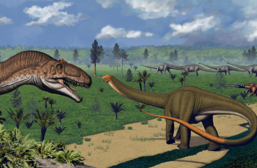 Ископаемые зубы свидетельствуют о том,&hellip;