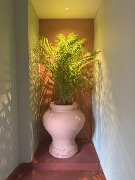 Обзор iPhone 17 Pro Max: оранжевый, вы рады, что аккумулятор больше 11 52cb051bad3e67dfc8ff00ca4771dea9