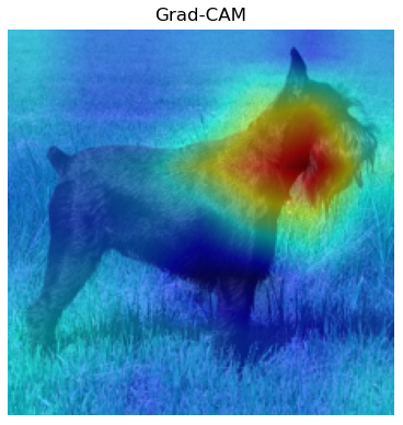 Визуальная классификация пыльцы с использованием сверточных нейронных сетей и Vision Transformers 12 54dcb8f76139c1f0ca55038619f5caf0