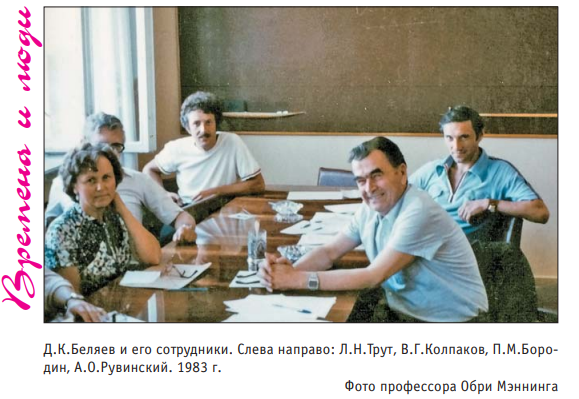 59f0f00d78baa9e6de0db12c8ddb9d05