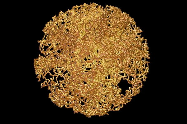 5b5bfcacc074d133c85d967bca2a2504