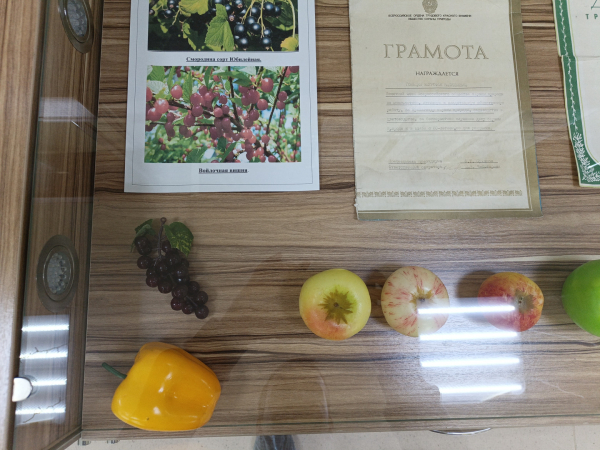 5fe7c1c2dbafca9e71914e65c78c99dc