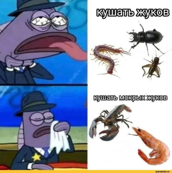 615faf91a45727110938e4d61fc84313