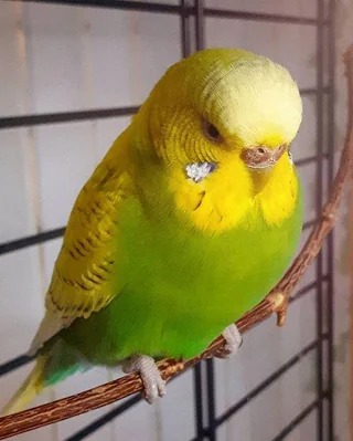 6539358751676d0c6f3e84cfbb8e8218