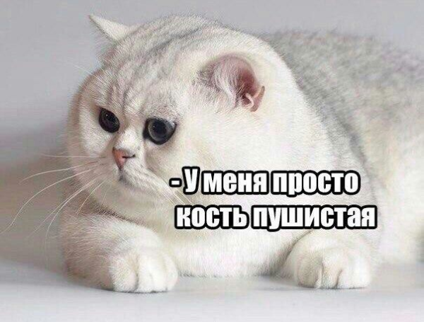 684a0cf2ad642277fb1d8e39b193ac06